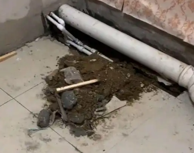 江州卫生间漏水检测哪家好